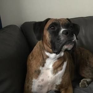 Meet your Posher, Jordan